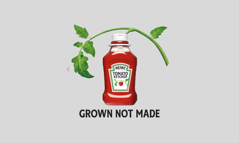 Heinz Ketchup Value Size